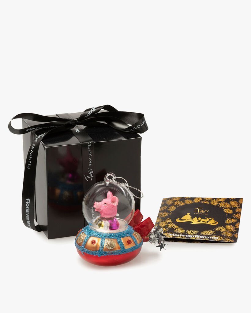Geschenkbox mit Weihnachtsanhänger 'Pig in Ufo'