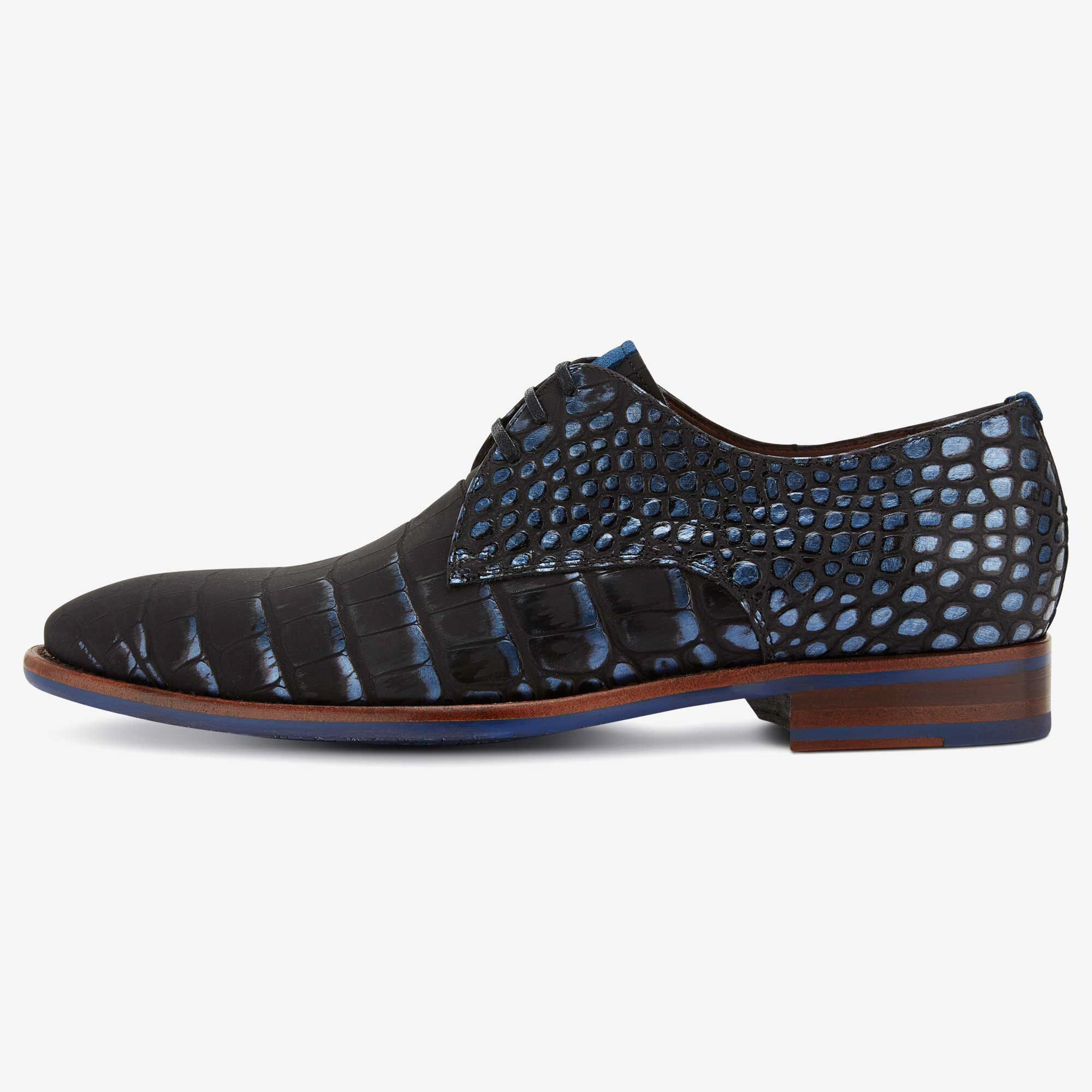 Black friday floris van bommel store