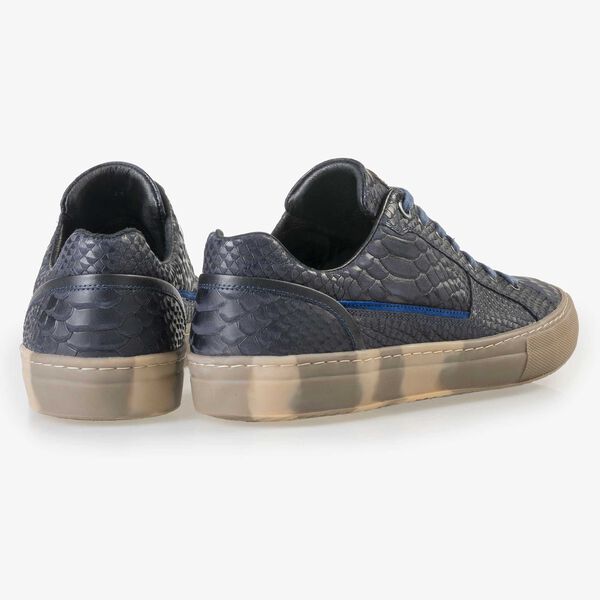 Floris van Bommel men’s blue leather sneaker with a snake print