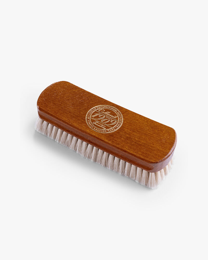Polishing brush