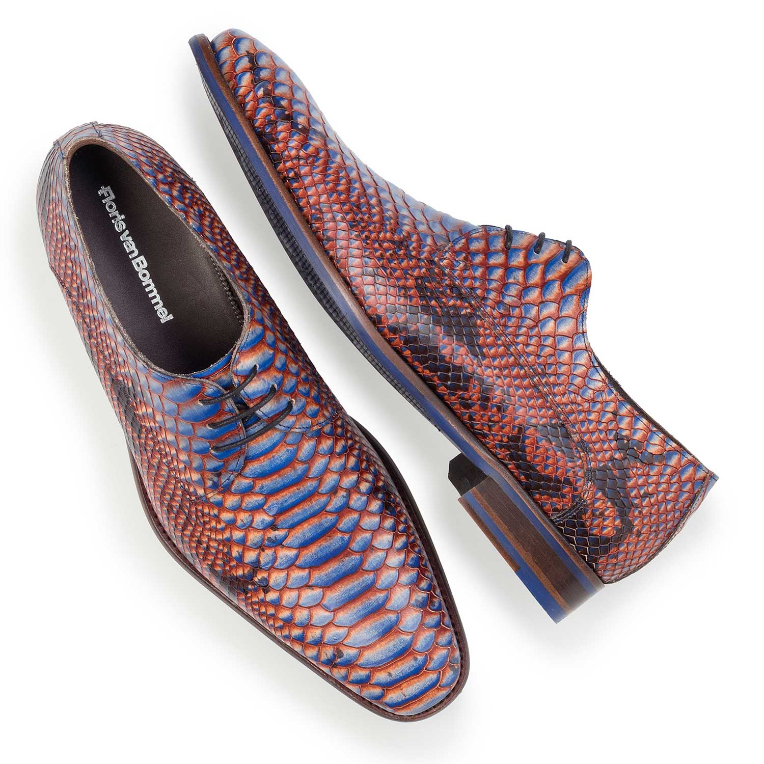 14204/00 - Blauer Leder Schnürschuh mit Schlangenprint 14204/00 - Blauer Leder Schnürschuh mit Schlangenprint