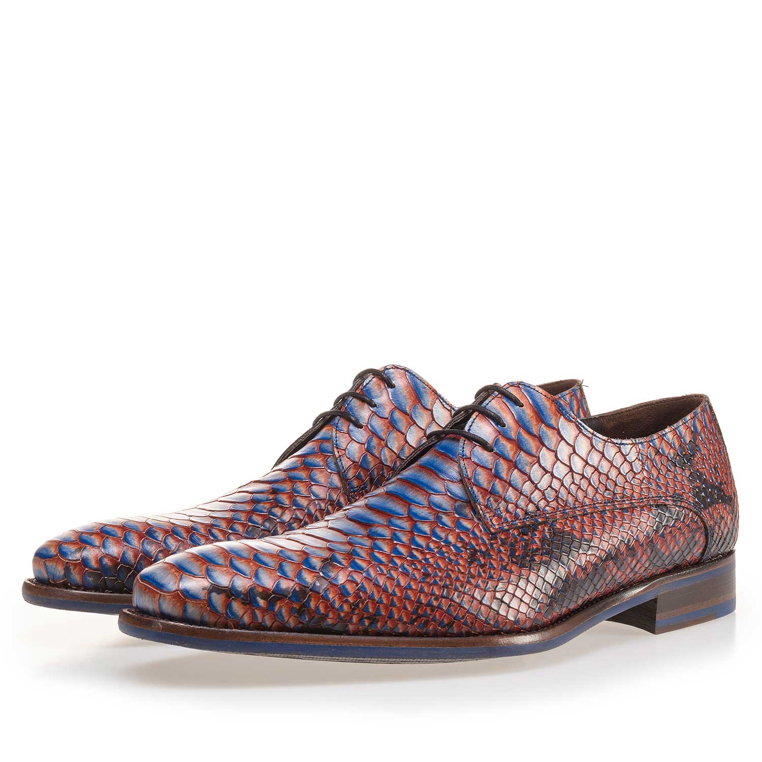 14204/00 - Blauer Leder Schnürschuh mit Schlangenprint 14204/00 - Blauer Leder Schnürschuh mit Schlangenprint